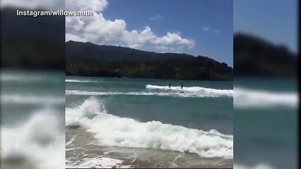 Willow Smith conquers the Hawaiian waves while on island vacay