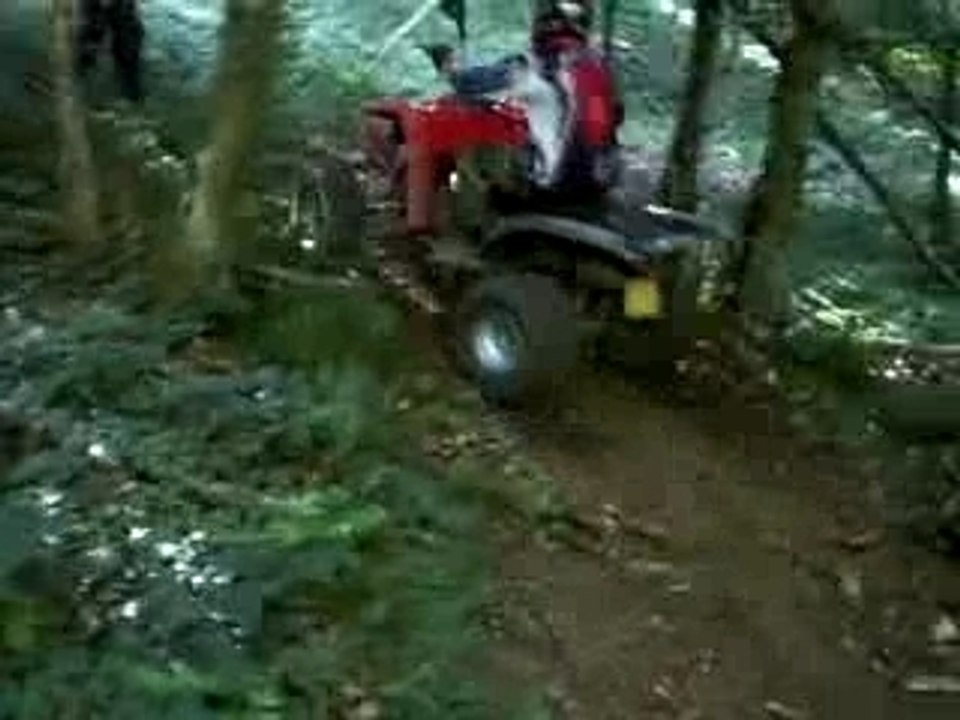 adly en forêt