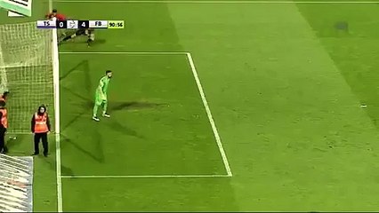 Un supporter turque frappe violemment un arbitre