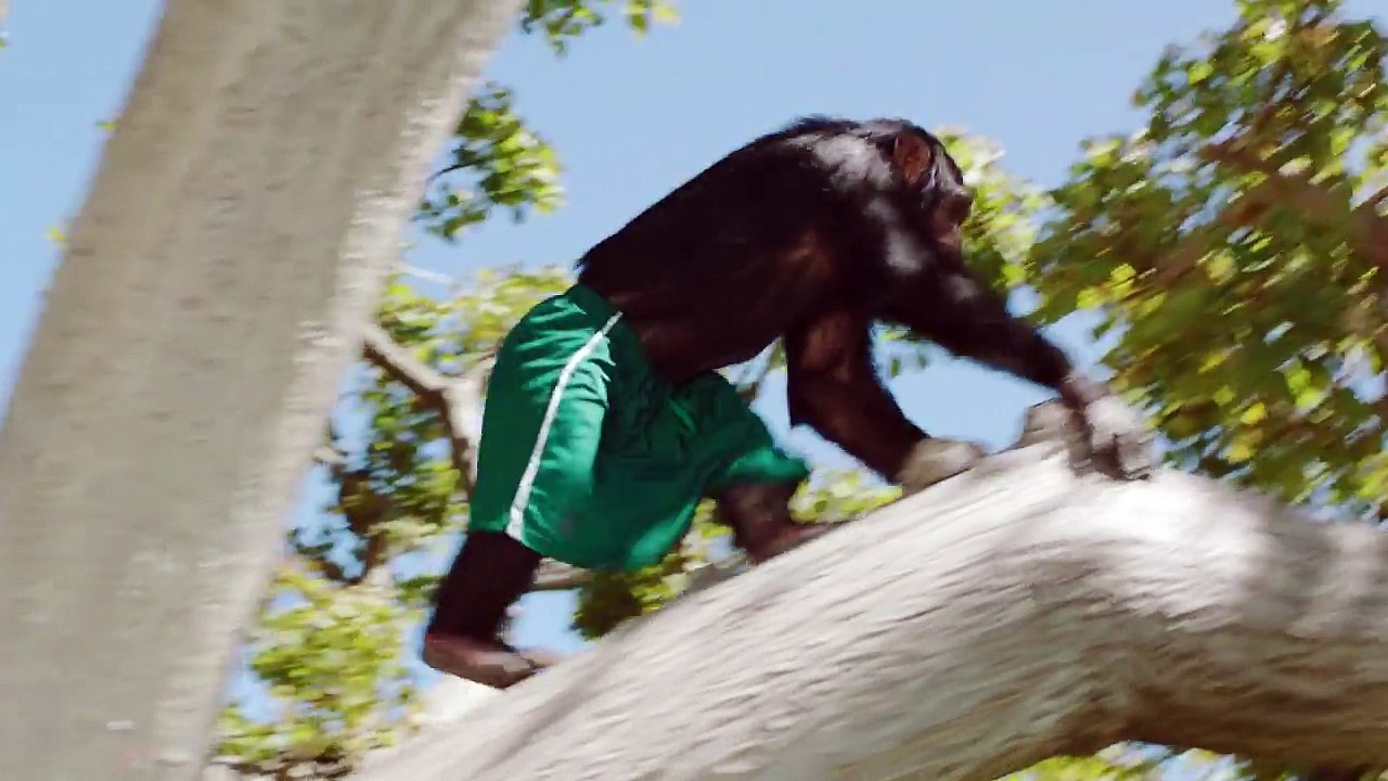 Steve Aoki & Felix Jaehn - Can't Go Home feat. Adam Lambert (Official Video)