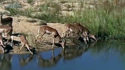 Donald Trump  Presidential Election Candidate one the  (57)