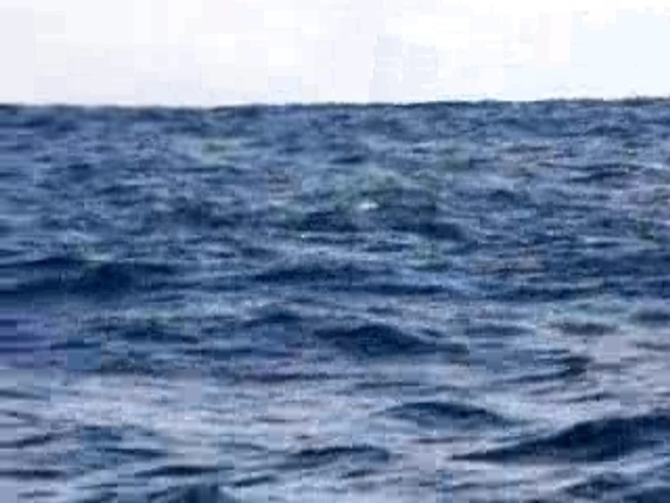 On joue à cache cache...... à l'eau