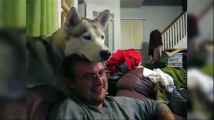 Un chien et son maitre inséparables