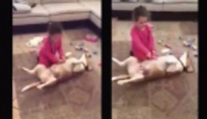 Köpeğin rol yeteneğine bakın!