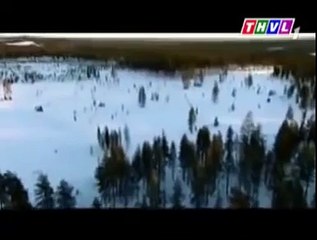 Donald Trump  Presidential Election Candidate  (155)