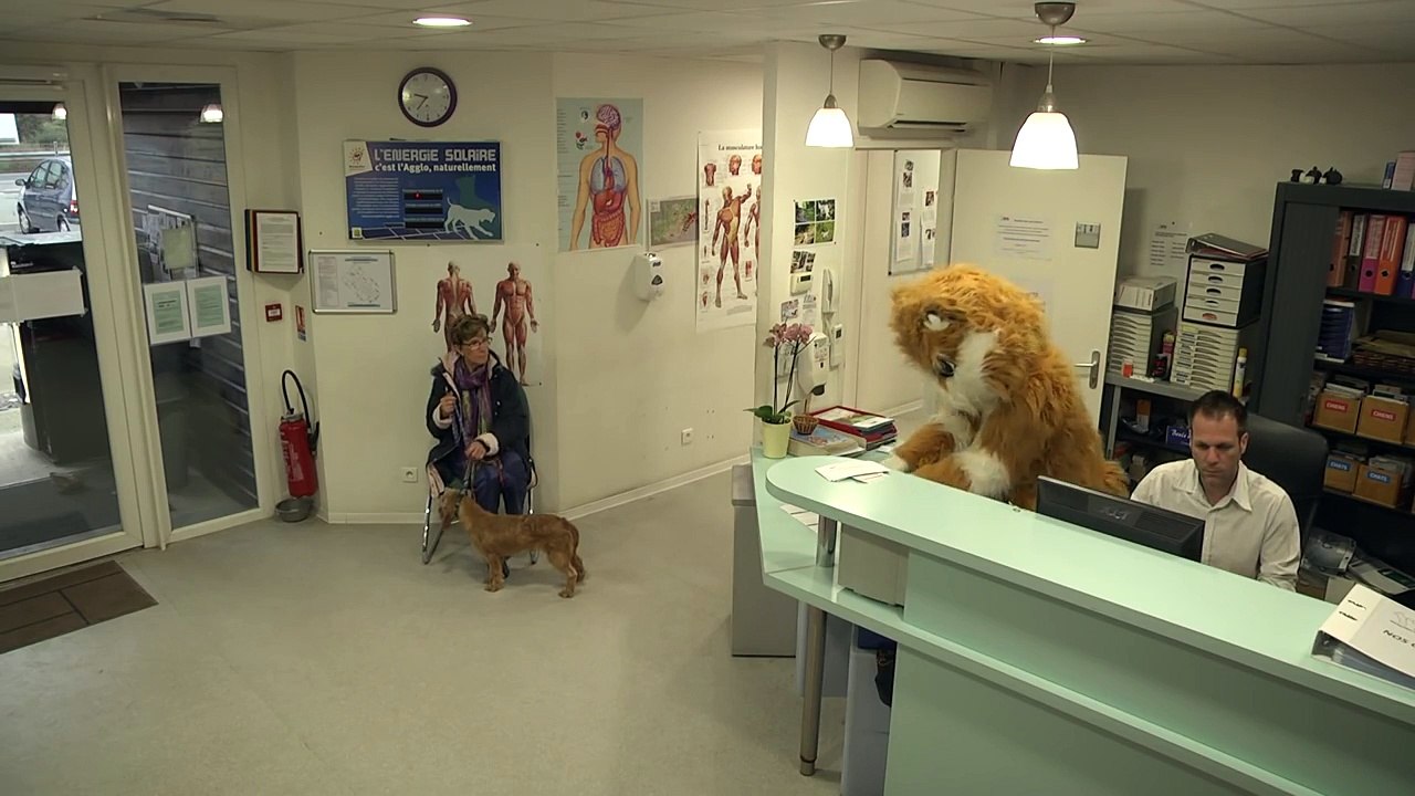 Elle apporte son chien au refuge pour animaux, puis la caméra capte l'inimaginable!