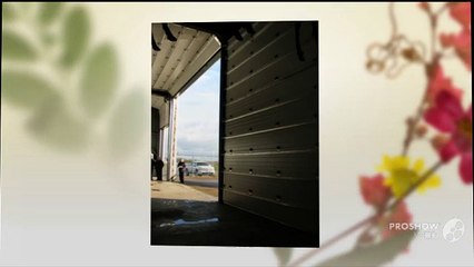 Aircraft Hangar Doors