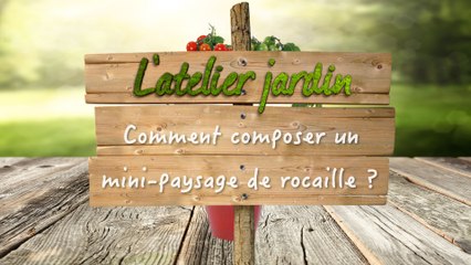 Comment composer un mini-paysage de rocaille ?