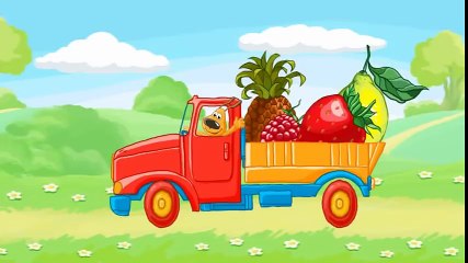 Fruits and Berries