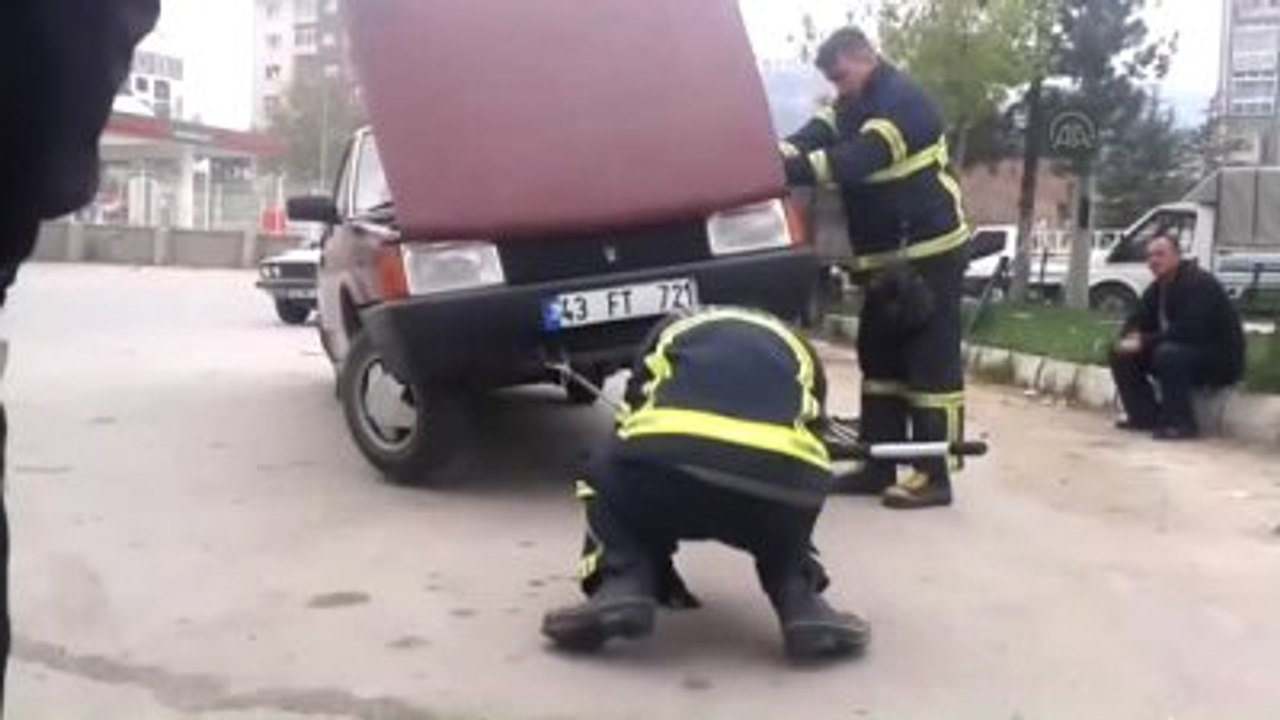 Yılan Kurtarma Operasyonu