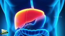Fatty Liver : Symptoms, Causes and Treatment || Body Health