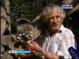 ノヴォシビルスク動物園のシロ園長の死 (Apr.27  2016)