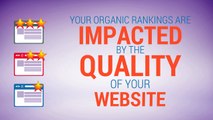 Hire SEO Company For Your Website - EZ Rankings
