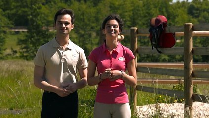 Galop 1 mettre un licol