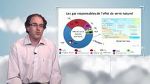 Greenhouse gases: description, sources and radiative effects