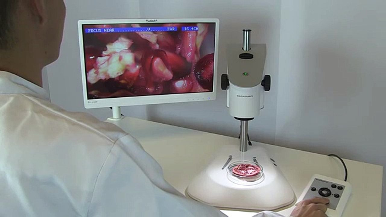 TAGARNO AIR-PRESTIGE