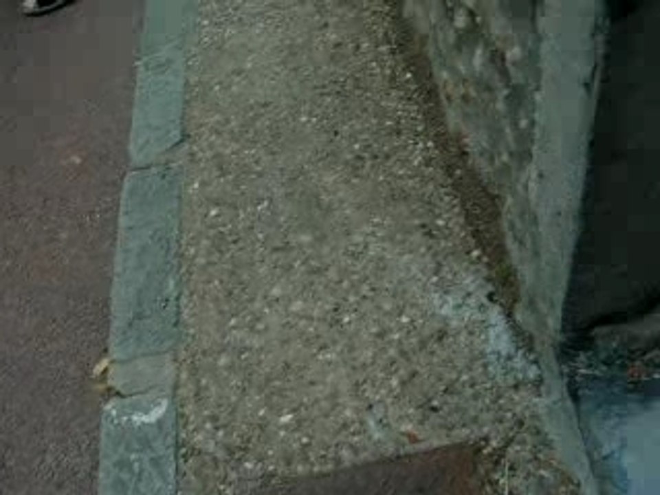 lancer de dingue 2  sur une voiture