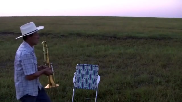 Мужик позвал и построил коров! Невероятно!