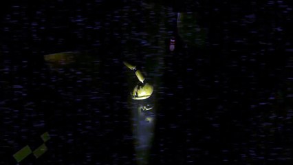 [SFM FNAF] Meet Springtrap