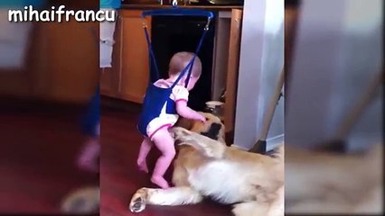 Best Of Big Dogs Playing With Babies Compilation 2016 -- NEW HD