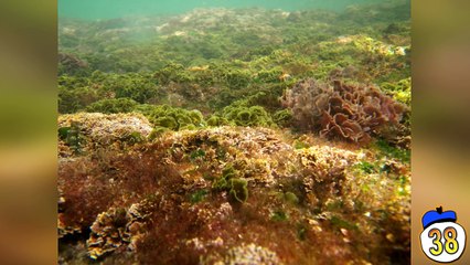 40 Things You Didn t Know About Your Own Brain