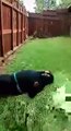 Woman Has a Meltdown After Finding Out Prince Died -Funny & Entertainment Videos-By Fun and Entertainment Follow US!!!