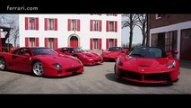Four Ferrari thoroughbreds for a special driver