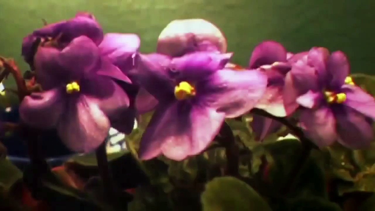 "importancia de la enseñanza de las Ciencias Naturales"