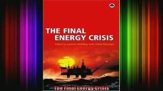 READ book  The Final Energy Crisis Full Free