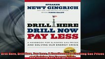 READ book  Drill Here Drill Now Pay Less A Handbook for Slashing Gas Prices and Solving Our Energy Free Online