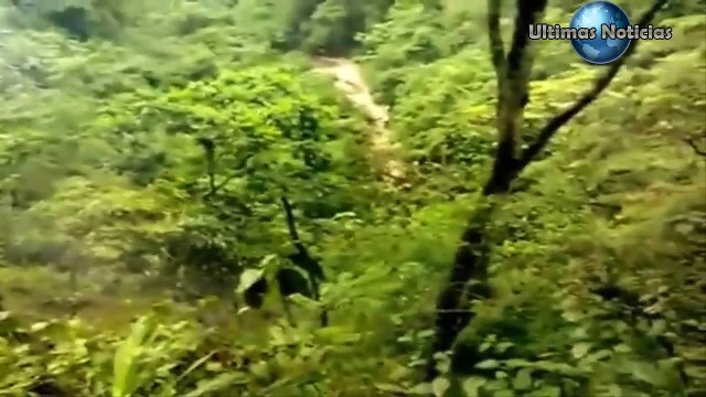 Peores accidentes de camiones y excavadoras en vivo