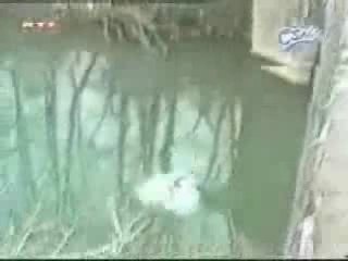 London 2012 Hopefuls: What to Expect 🏅