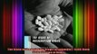 READ book  The Risks of Prescription Drugs A Columbia  SSRC Book Privatization of Risk  FREE BOOOK ONLINE