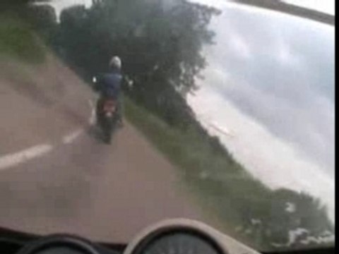 Des escargots en Bourgogne