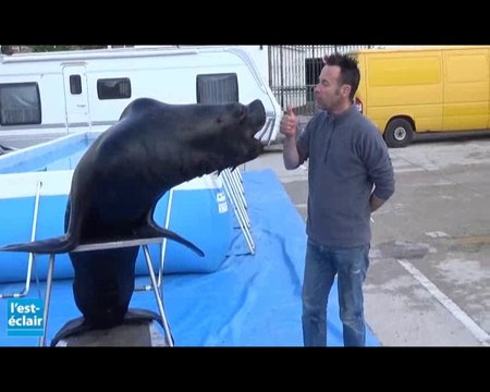 Dans la ménagerie du cirque Arlette Gruss