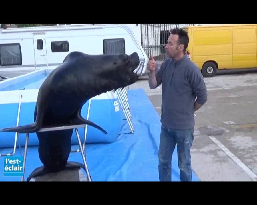 Dans la ménagerie du cirque Arlette Gruss