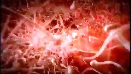 Showing Nine Months Of Life In The Womb Over Just A Few Minutes Is BEAUTIFUL!