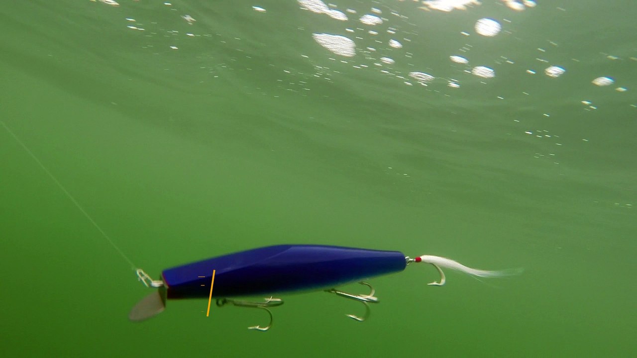 How Lures Swim: Gibbs Danny Deep Diver