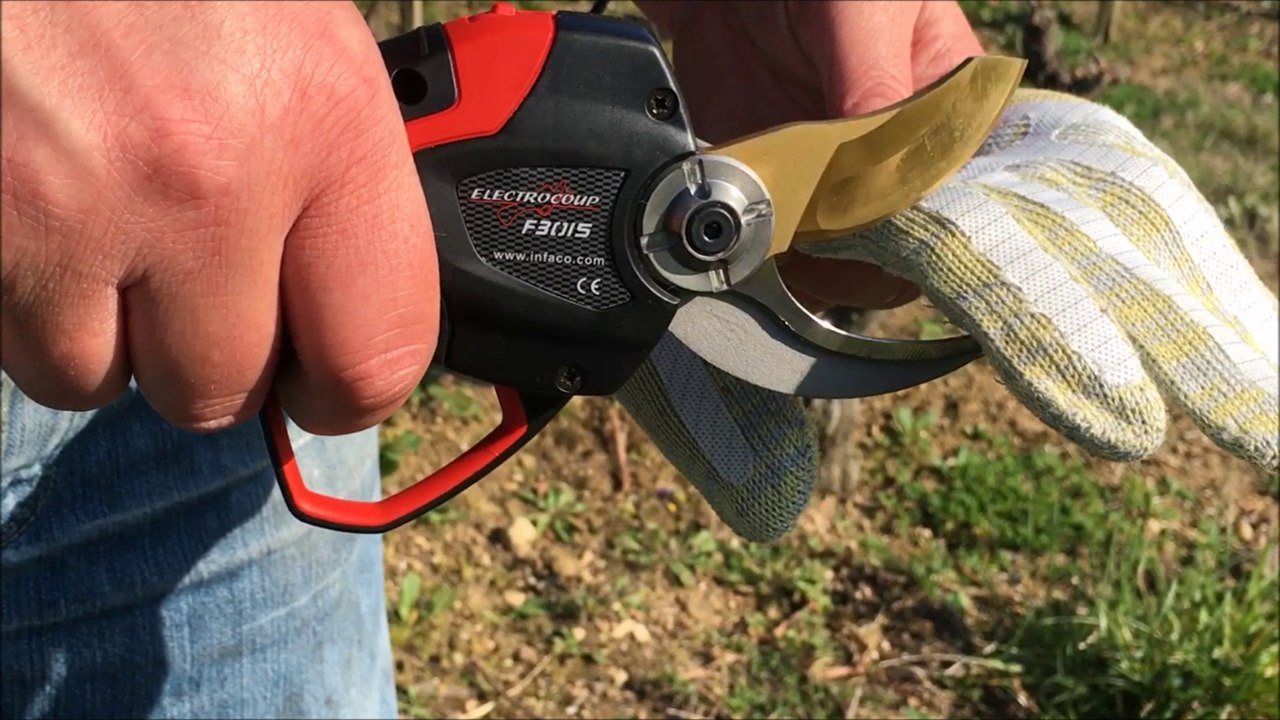 INFACO ELECTROCOUP F3015 DSES DE