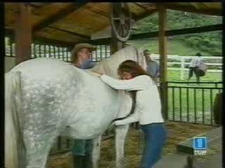 DIANA Y ALEJANDRO HABLAN