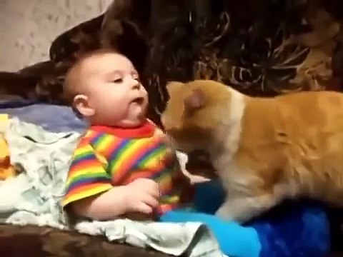 КОТ СКАЗАЛ СПАТЬ! Кот укладывает малыша) I said to sleep! Cat puts the kid)