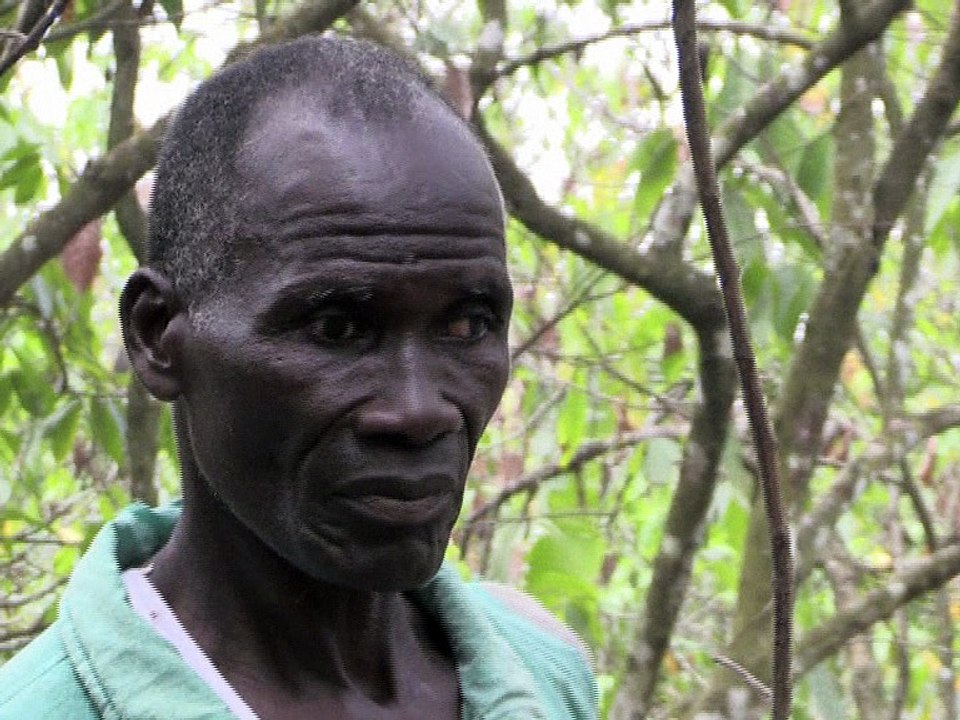 Côte d'Ivoire: l'école pour éradiquer le travail des enfants