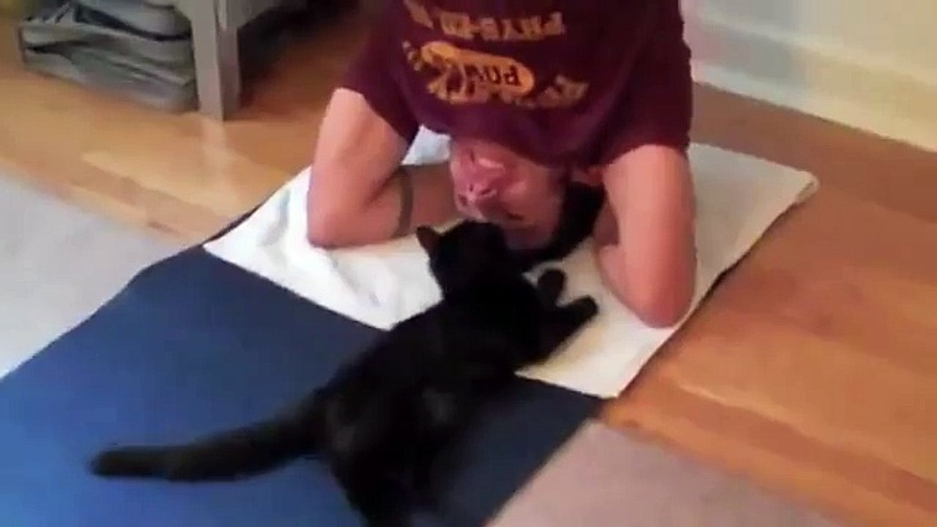 ⁣КОШКИ ПРОТИВ ЙОГИ) Cats & Yoga)