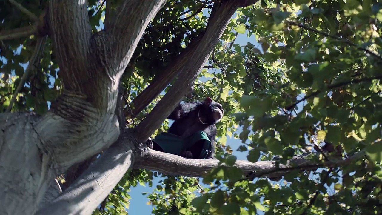 Steve Aoki & Felix Jaehn - Can t Go Home feat. Adam Lambert (Official Video)