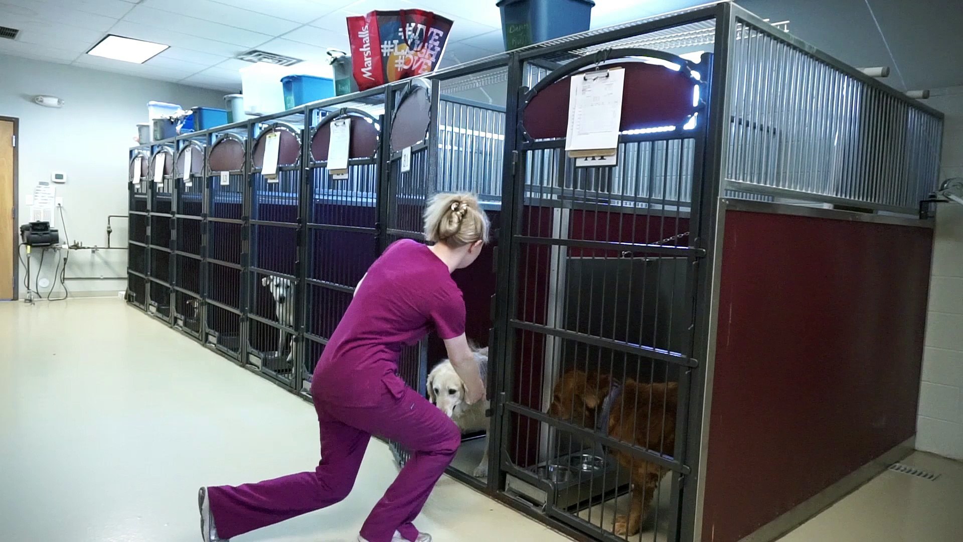⁣Welcome to Garden Valley Veterinary Hospital