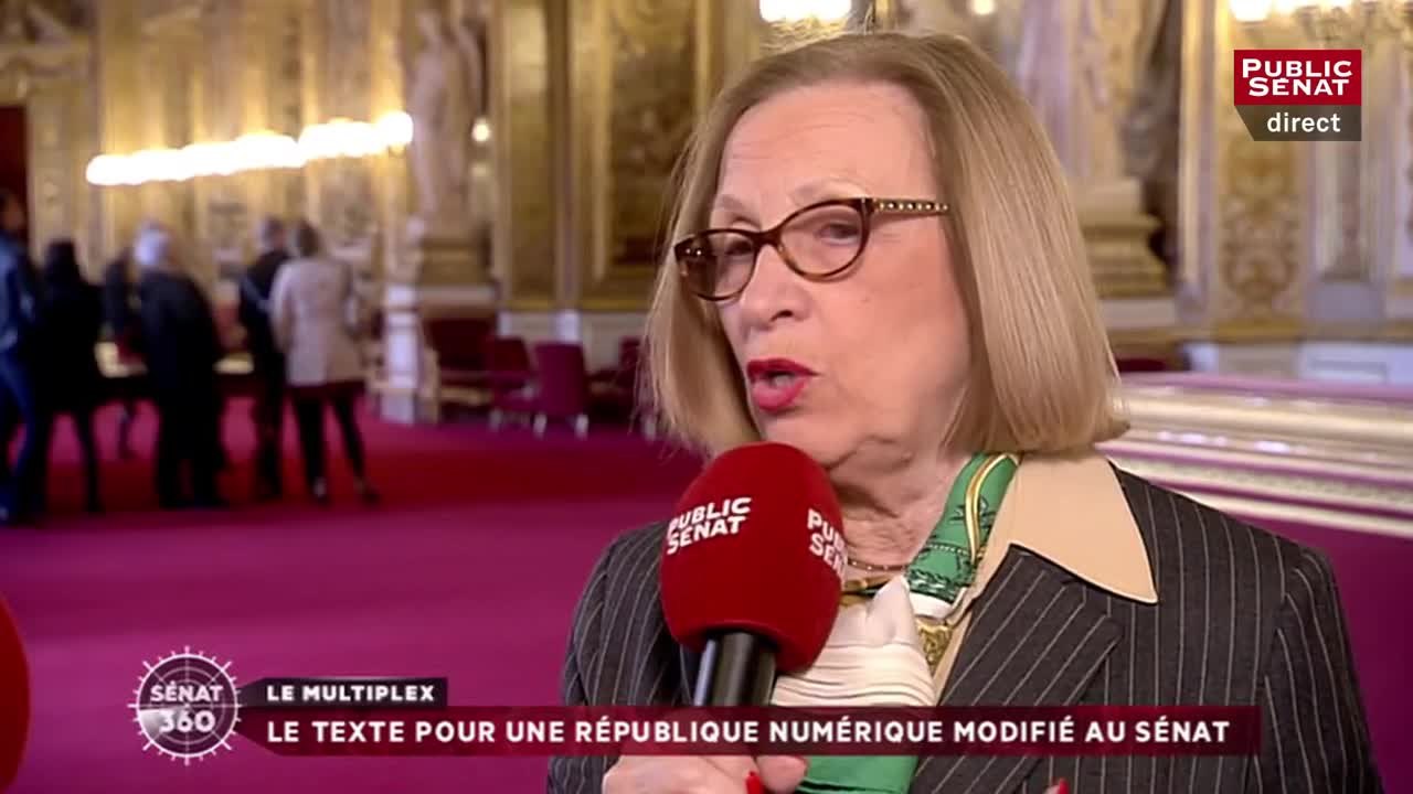 Colette Mélot, rapporteure du projet de loi pour une république numérique