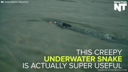 Creepy Underwater Robot Snake