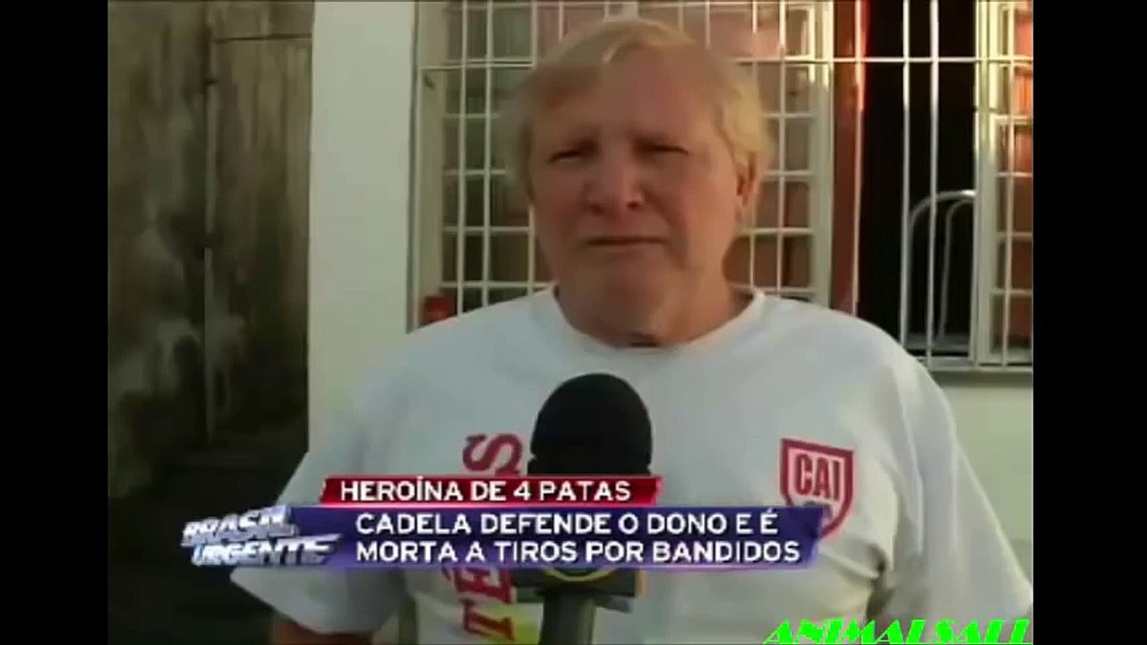 Hero Dog Protects Owner Compilation - Not Training - Caught On Camera