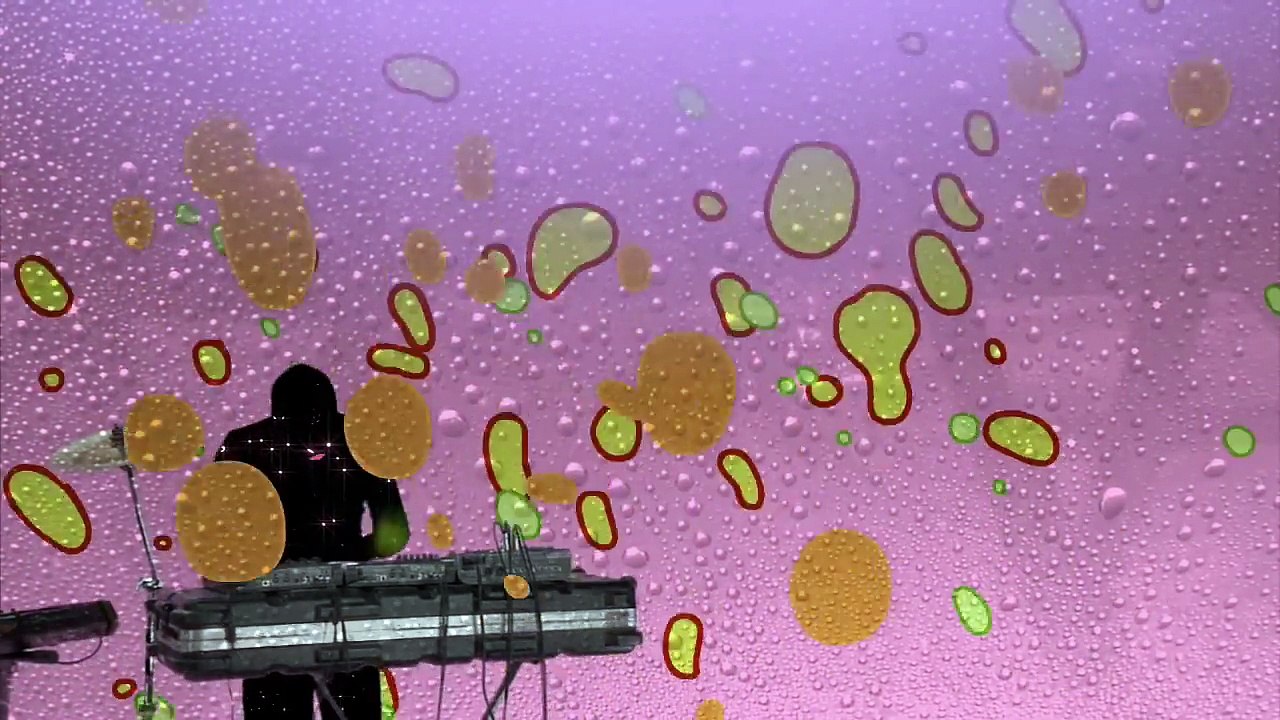 Animal Collective - My Girls (2009)