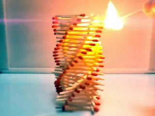 Amazing Fire Domino!! 【成功バージョン】